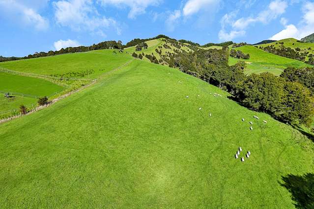 1524 Kirikopuni Valley Road Dargaville_3