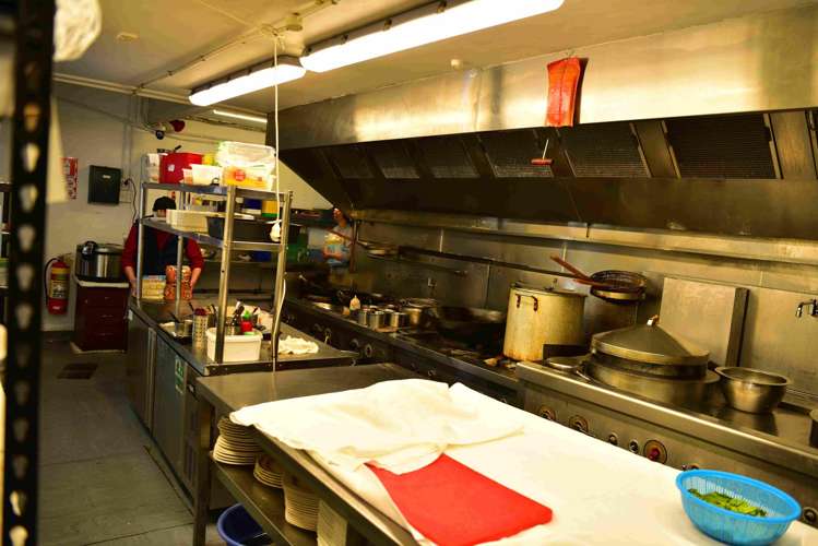 552 Glenfield Road Glenfield_7