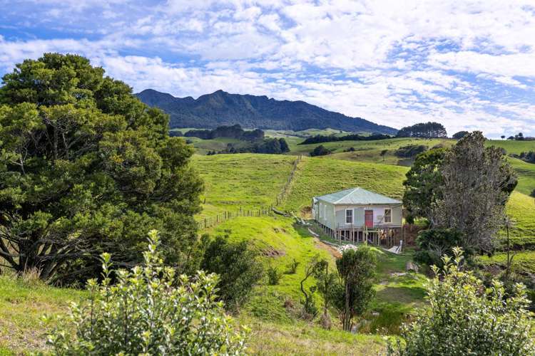 62 Cornes Road Raglan_14