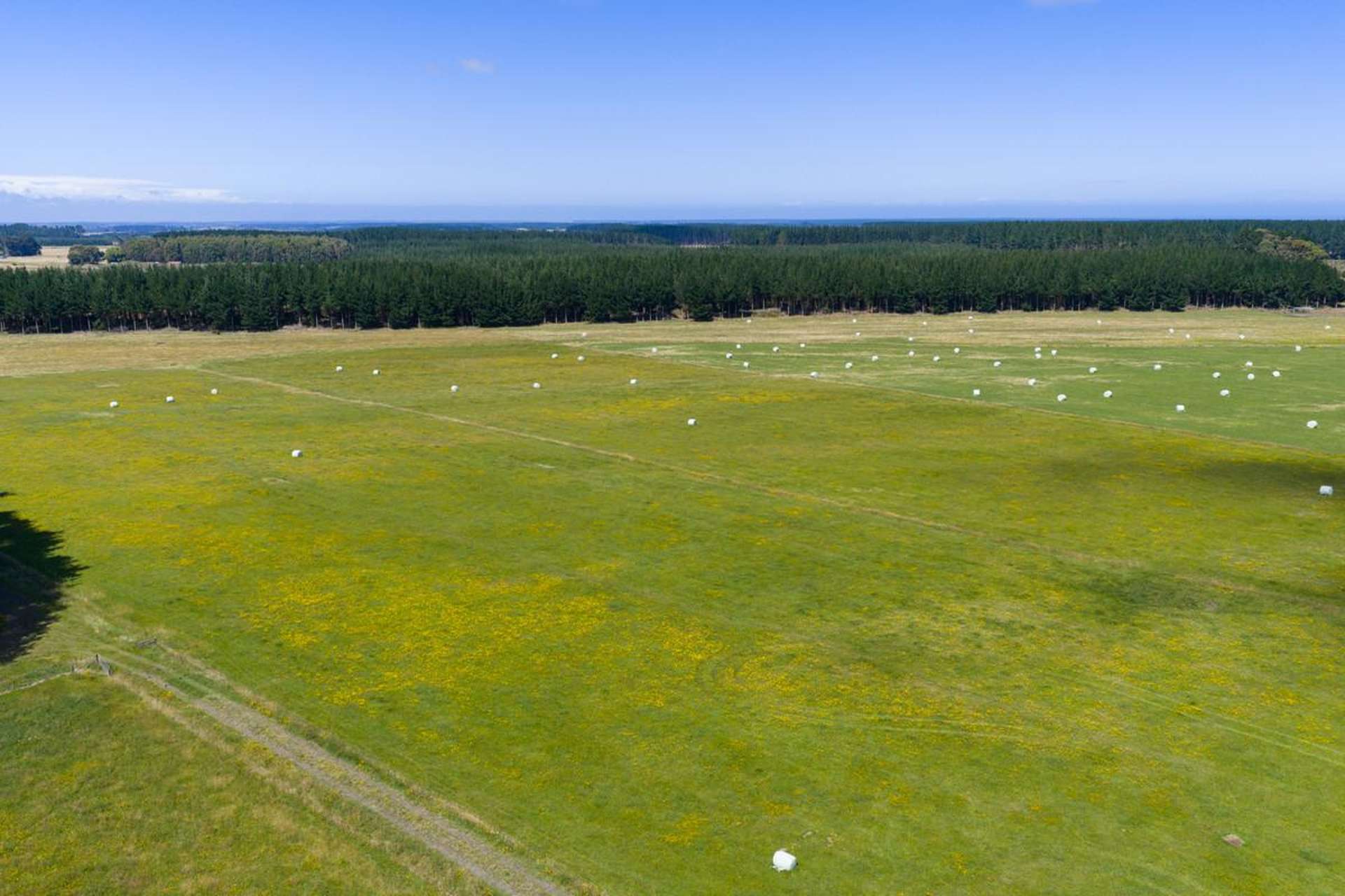 590 Brandon Hall Road Bulls_0