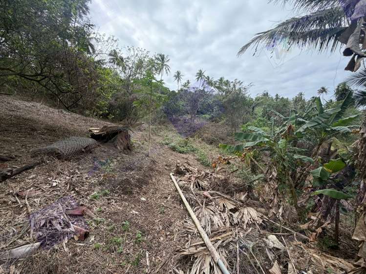 Address withheld Savusavu_25