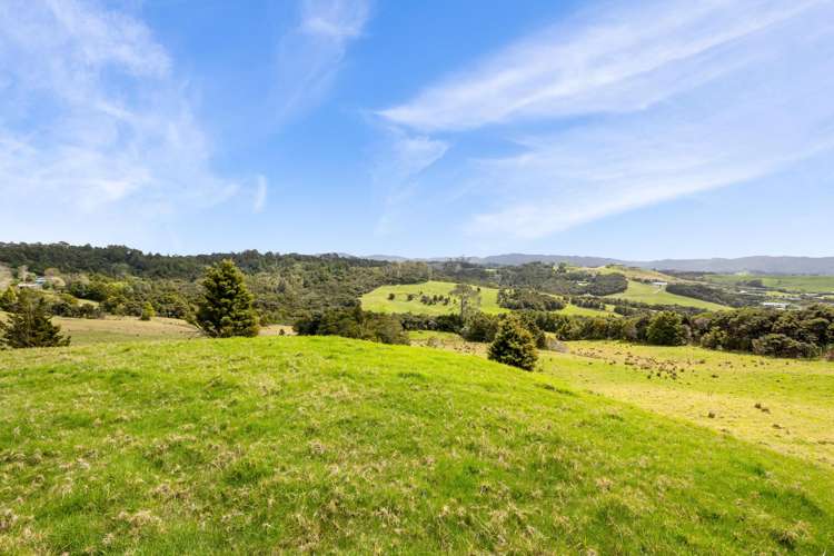 1083 Kaiwaka Mangawhai Road Mangawhai_13