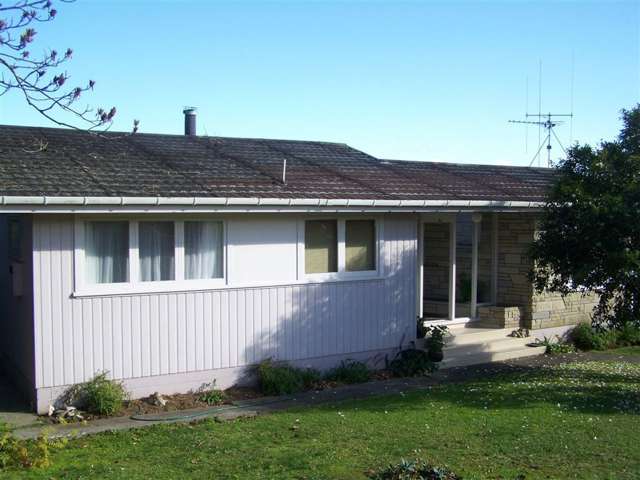 43 Wood Street Paeroa_2