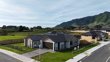 24 Kotuku Ngutupapa Way _1