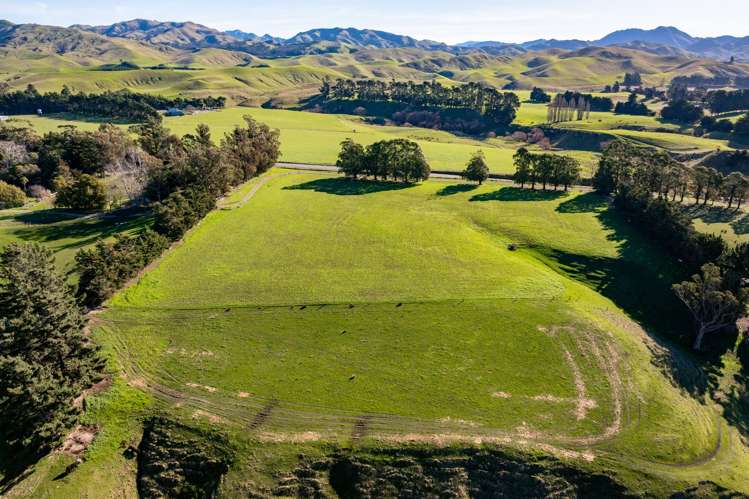 7611 State Highway 1 Ward_19