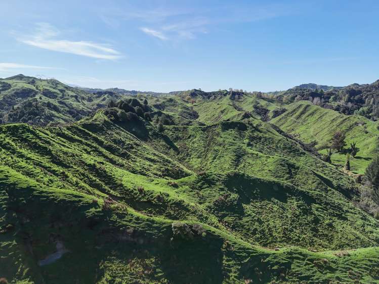 56 Makakahi Road Ruapehu-King Country Surrounds_18