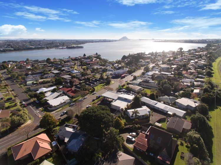 191b Maungatapu Road Maungatapu_22