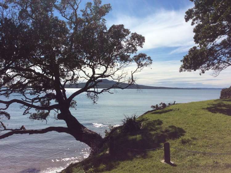 2/72 Wairoa Road Narrow Neck_10