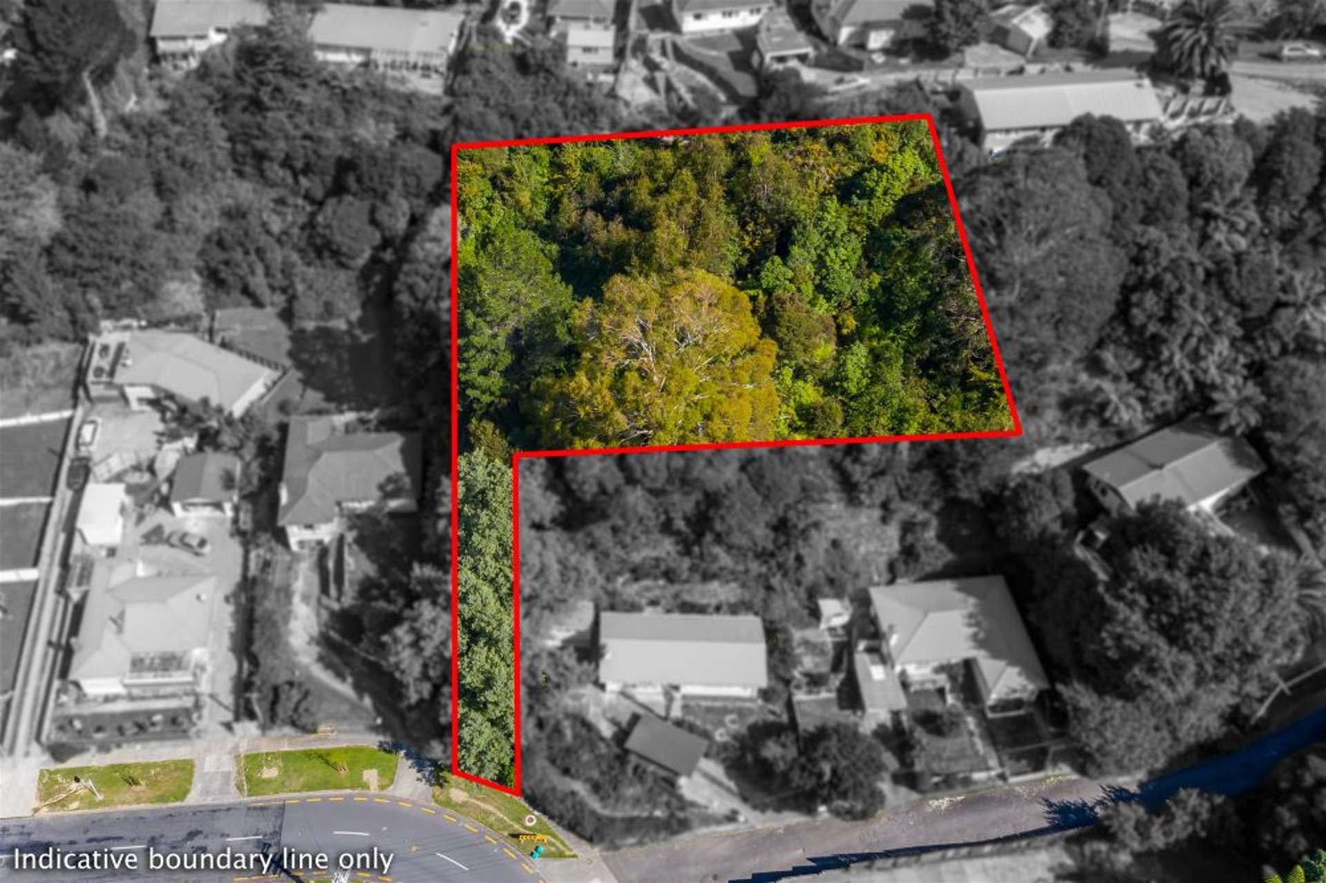 9 Logie Street Stokes Valley_0