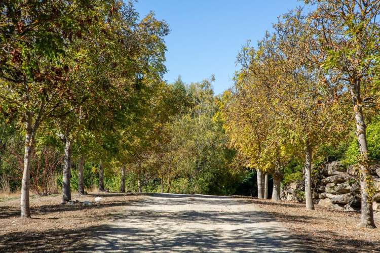 67 Ferris Road Alexandra_23