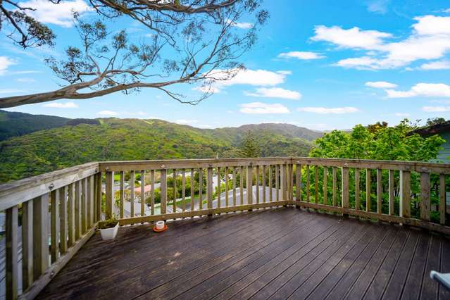 Fully furnished sunny, modern house