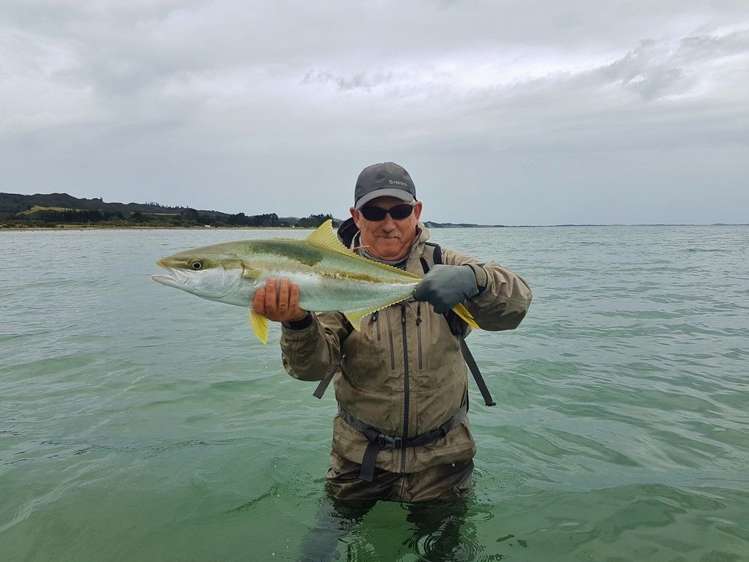 51 Totara Avenue Collingwood_1