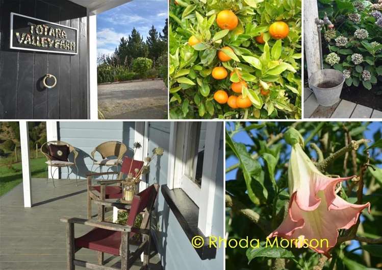 280 Central Road Mareretu_29