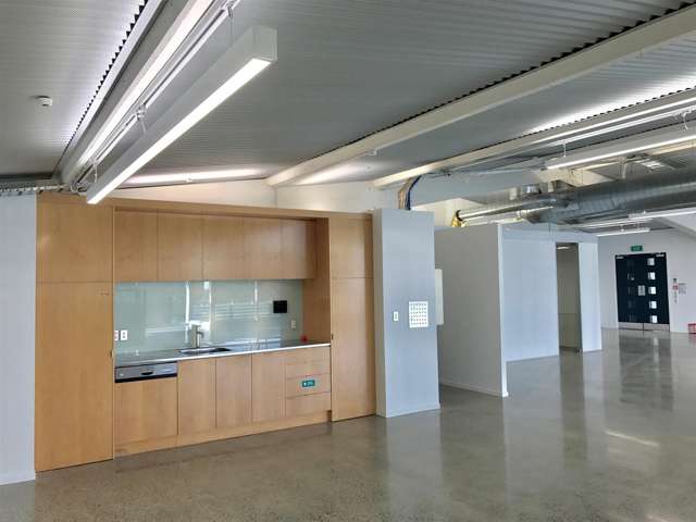 12 Churton Street Parnell_4