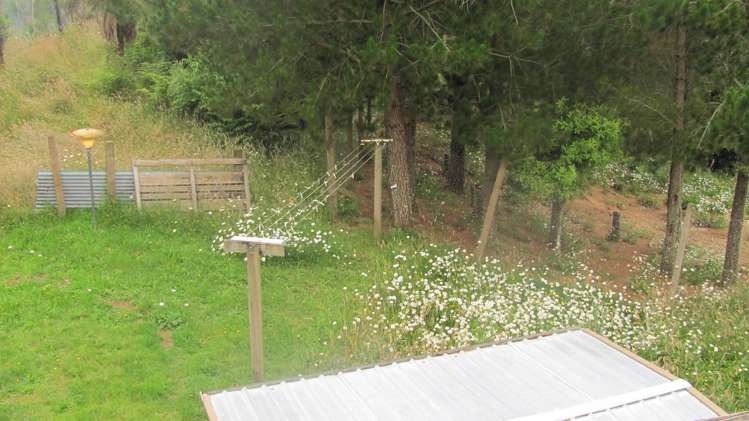 3799 State Highway 4 Owhango_1