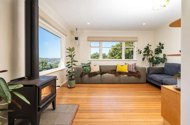 15a Hoggard Street Vogeltown_2