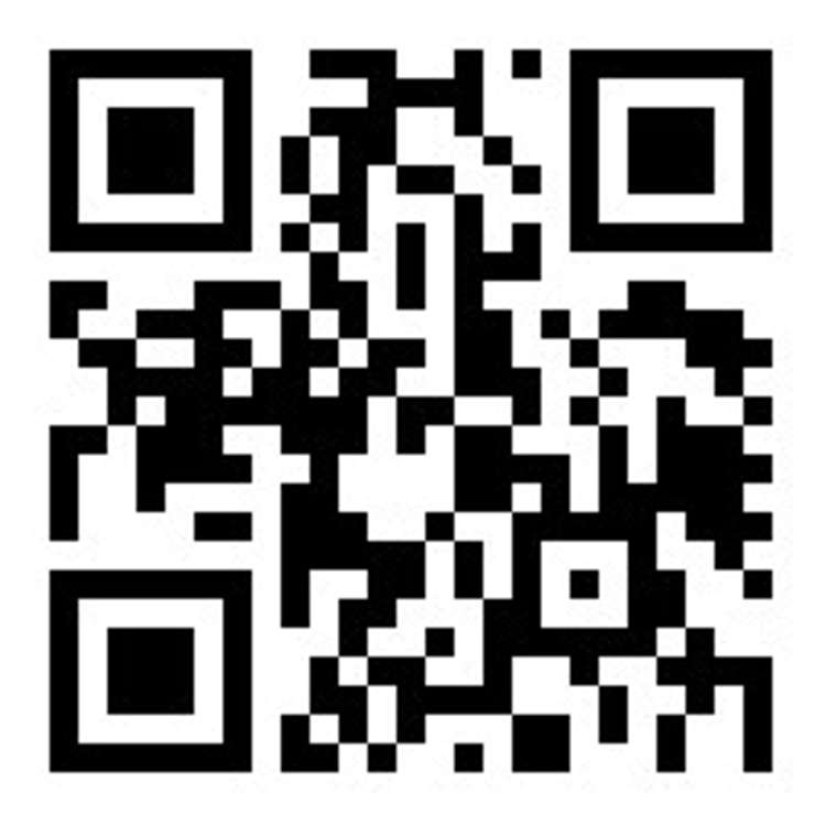 159 Larcombs Road Rolleston_19