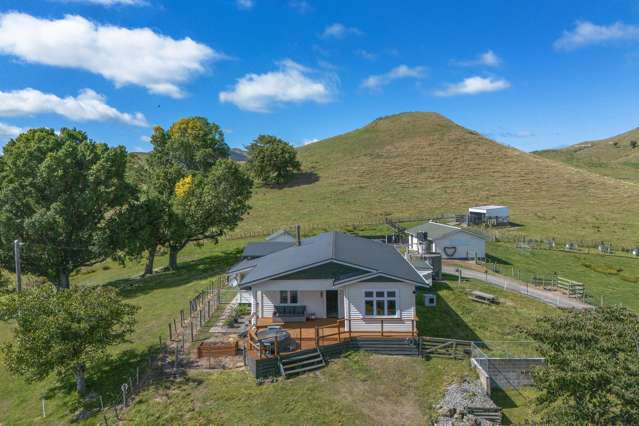 334 Ormondville Te Uri Road Dannevirke_1