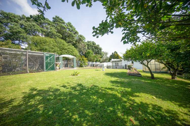 47 Mangorei Road Strandon_14