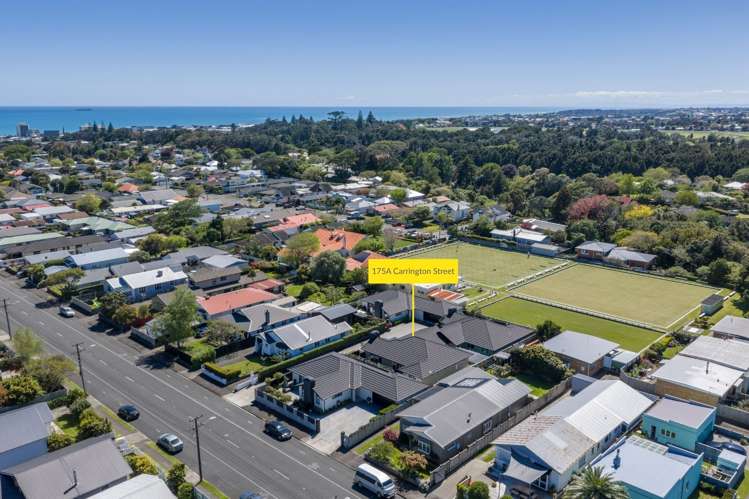 175A Carrington Street Lower Vogeltown_34