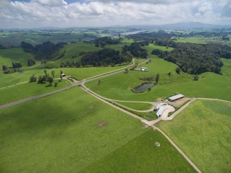 438 Waotu South Road Putaruru_23