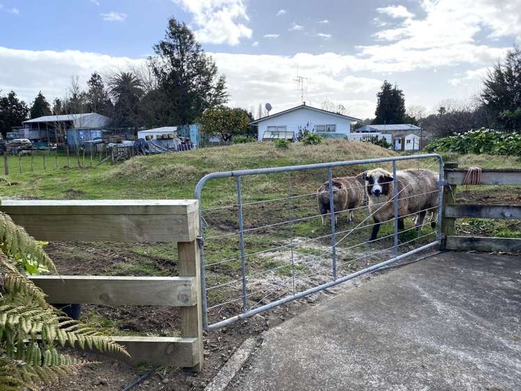 8881 State Highway 26 Puriri_26