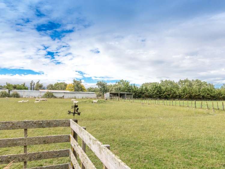 16 Te Wanaka Road Awapuni_12