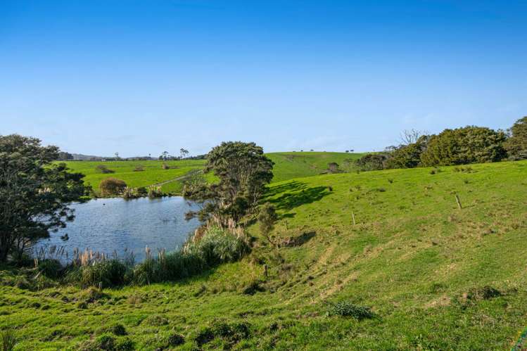 Lot 5, 660 Kaipara Coast Highway Helensville_36