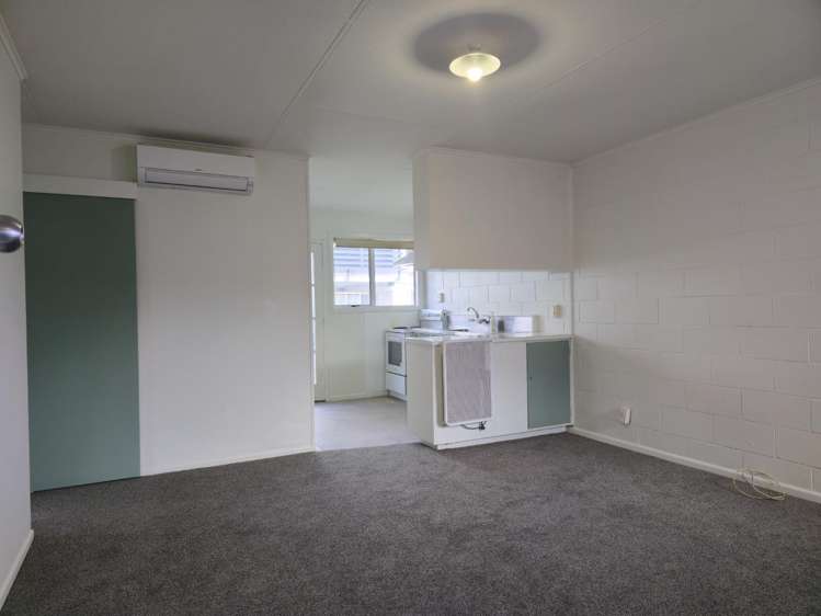 3/106 Tuwharetoa Street 11210_8
