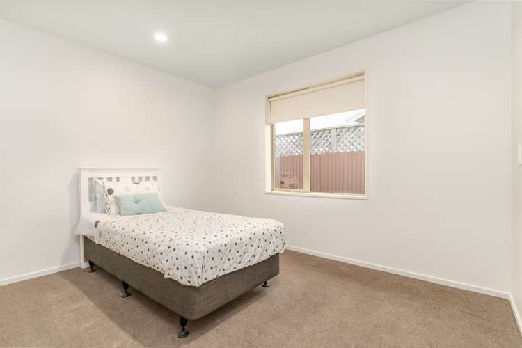 12a Plunket Street Spreydon_12