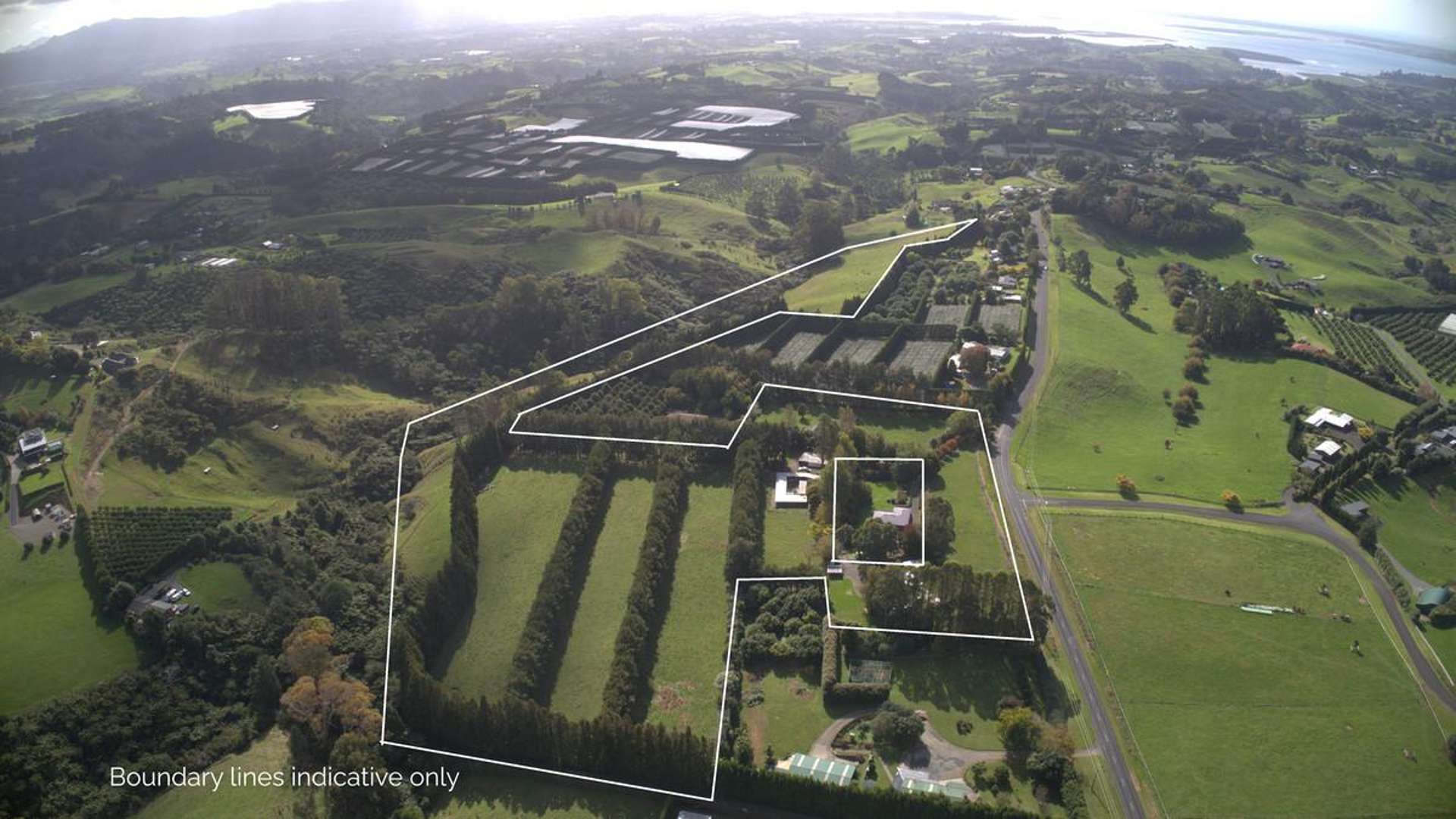 482B Esdaile Road Whakamarama_0