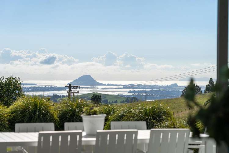 590A Upper Ohauiti Road_0