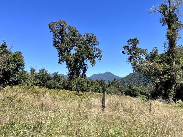 254 Doughboy Road Kokatahi_30