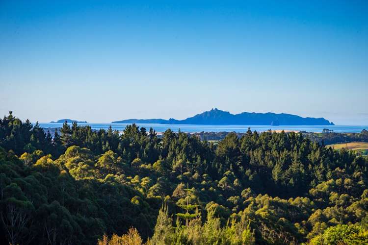 198 Cames Road Mangawhai_2