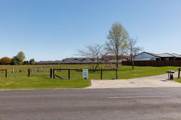 141 Potae Avenue Riverdale_7