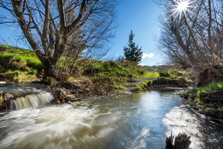 1960 Redwood Pass Road Seddon_29