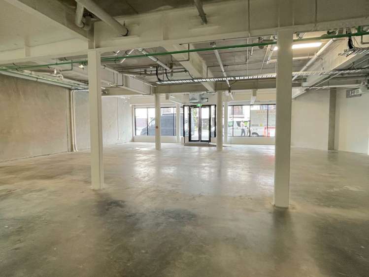 8 Rose Road Grey Lynn_7