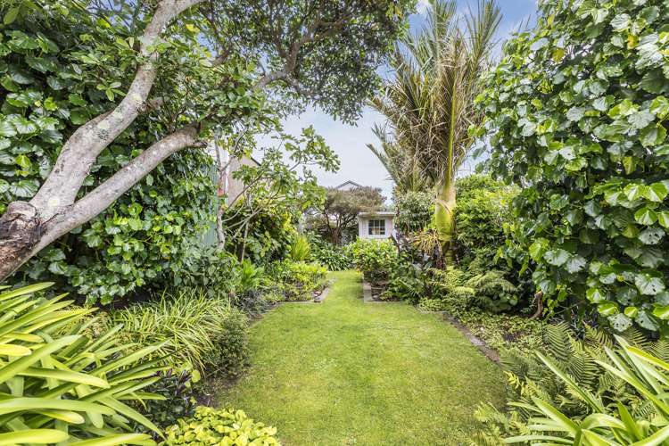 62 Elizabeth Street Mount Victoria_20