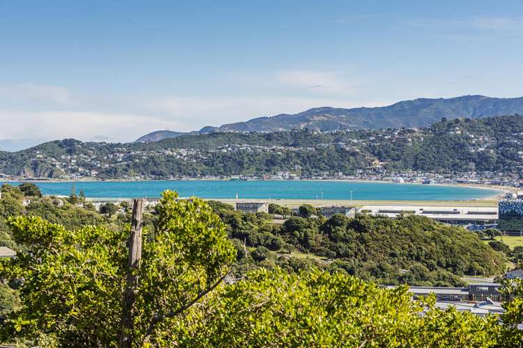 56 Tannadyce Street Strathmore Park_18