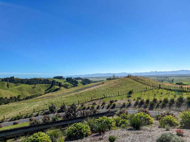 169 Torehape Road West Kaihere_1