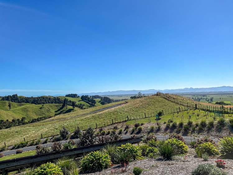 169 Torehape Road West_1