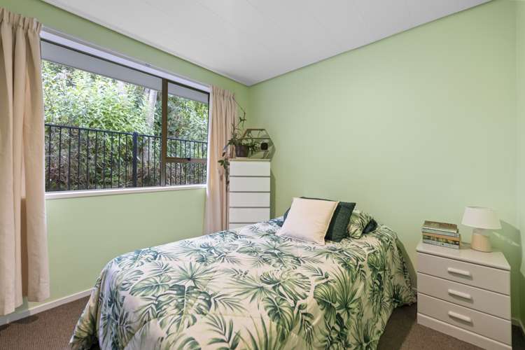58 Tomahawk Road Andersons Bay_15
