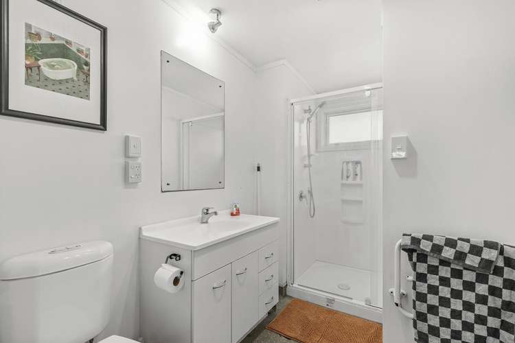 20/3 Kelvin Grove Te Aro_8