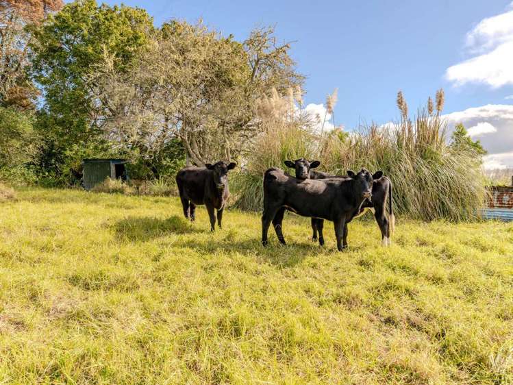 6377B State Highway 1, Moerewa Kerikeri_8