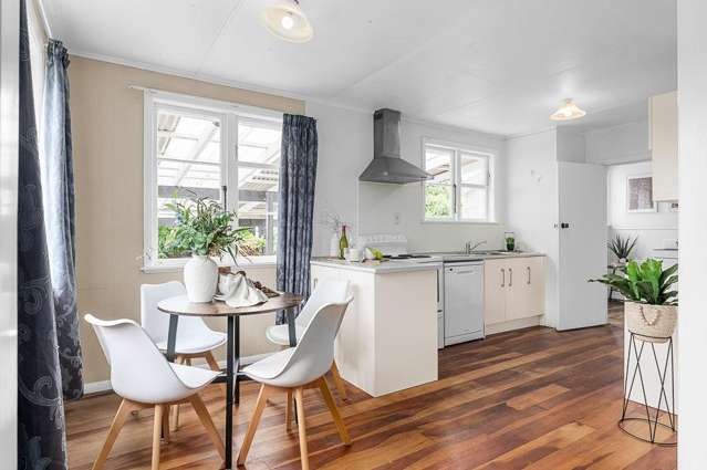 13 Nixon Street Hamilton East_3