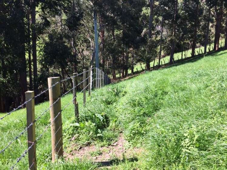 4987 Christchurch Akaroa Road Little River_18