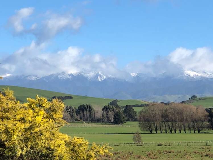 82 James Road Rangitumau_22