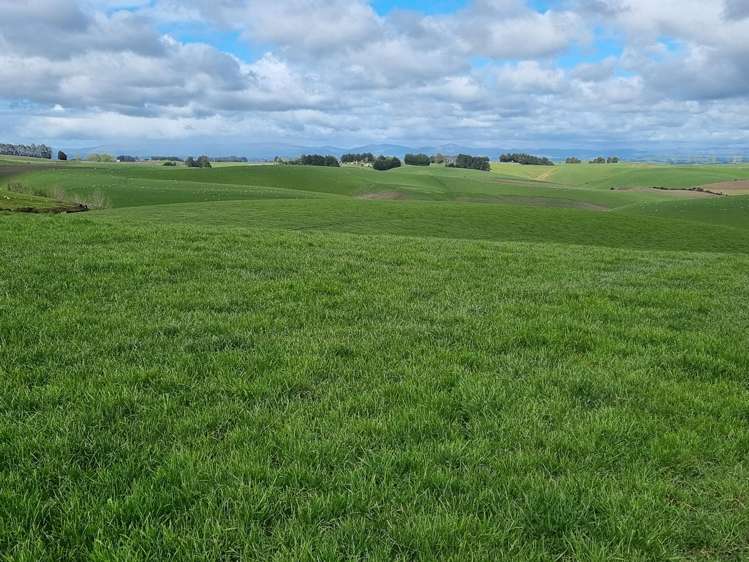 1628 Tuapeka West Road and 275 Bush Road Tuapeka West_11