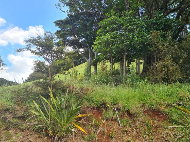 59 Puketotara Road Glenbervie_20