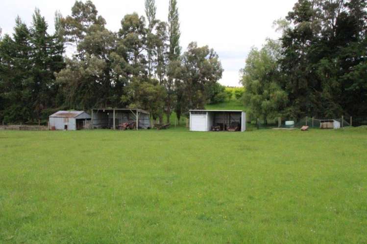 72 Bush Street Lumsden_2